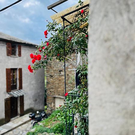 Tres Jolie Maison Aux Portes Du Cap Corse Sisco Buitenkant foto