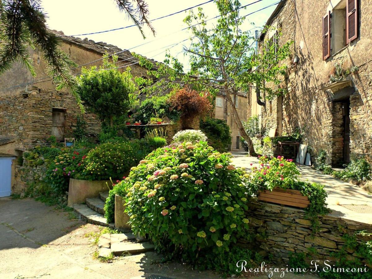 Tres Jolie Maison Aux Portes Du Cap Corse Sisco Buitenkant foto